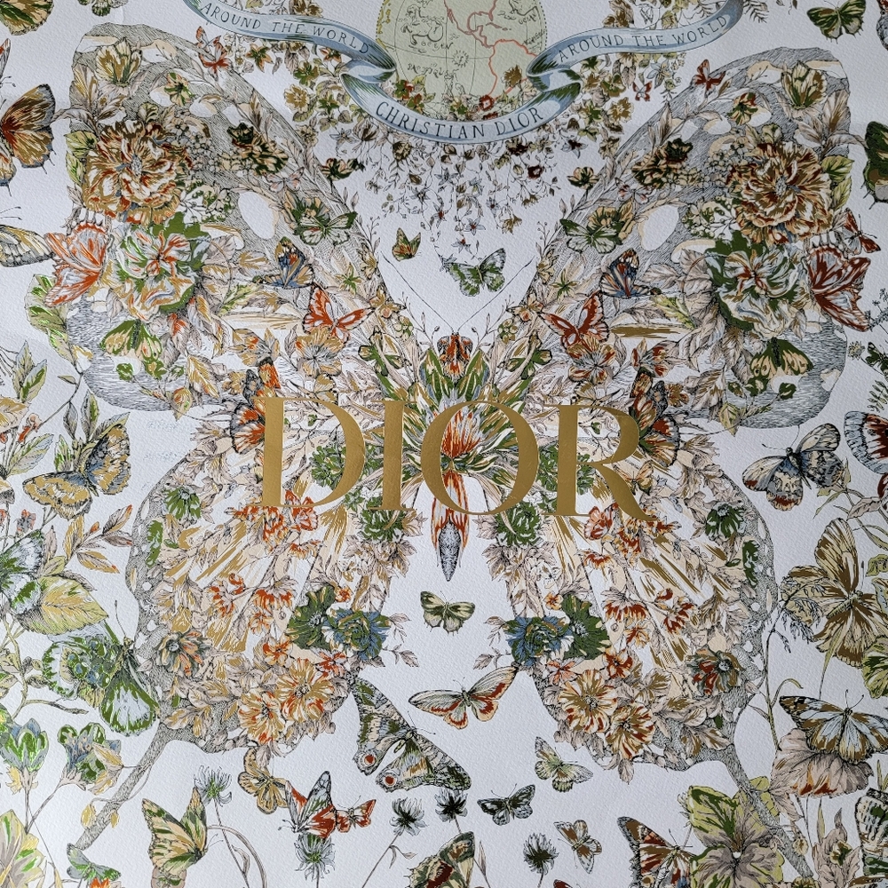 Extra Large Limited Edition Authentic Dior Butterfly Shopping Bag Framed - Picture 10 of 12